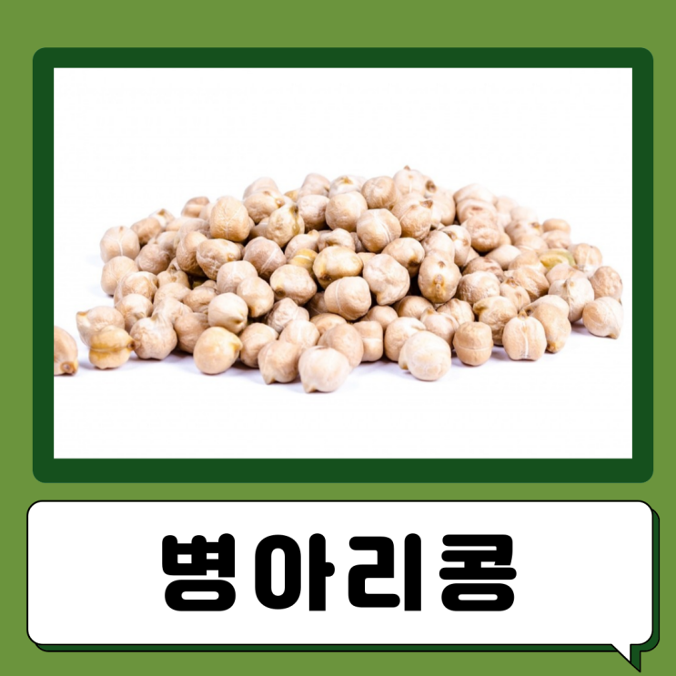  병아리콩 효능 부작용 칼로리 먹는법 병아리콩 단백