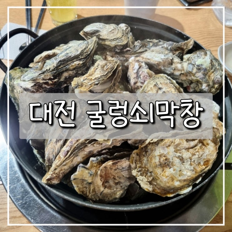대전 갈마동 굴찜 맛집 "굴렁쇠막창"