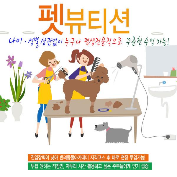  강아지, 고양이 미용 코디네이터로 취업