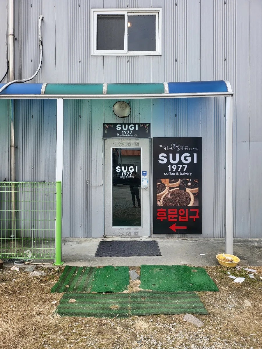 쑤기1977 사진 2