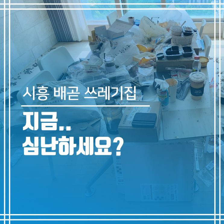  시흥 배곧 쓰레기집청소 지금.. 심난하세요?