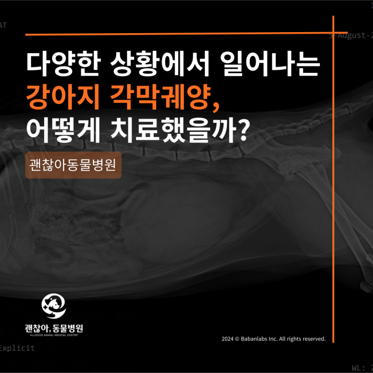  강아지각막궤양 치료케이스 평택고덕동물병원 괜찮아동물병원