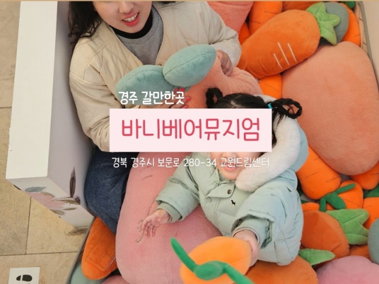  경주 갈만한곳 사진 가득 찍고온 바니베어 뮤지엄
