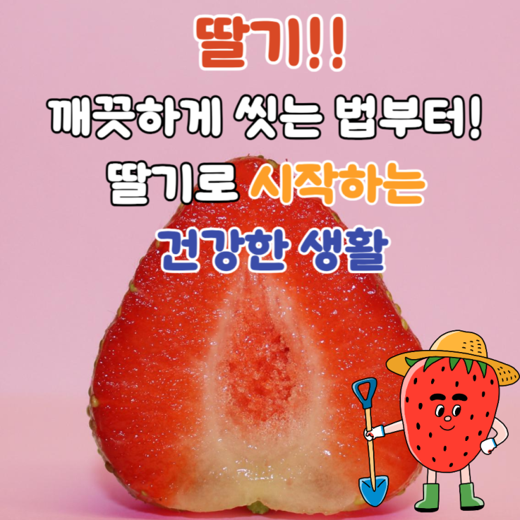  딸기깨끗하게 씻는법 영양과 효능     돌아기유아 딸기 언제주면 좋을까