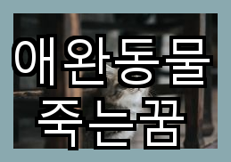 애완동물 죽는 꿈 의미와 내용