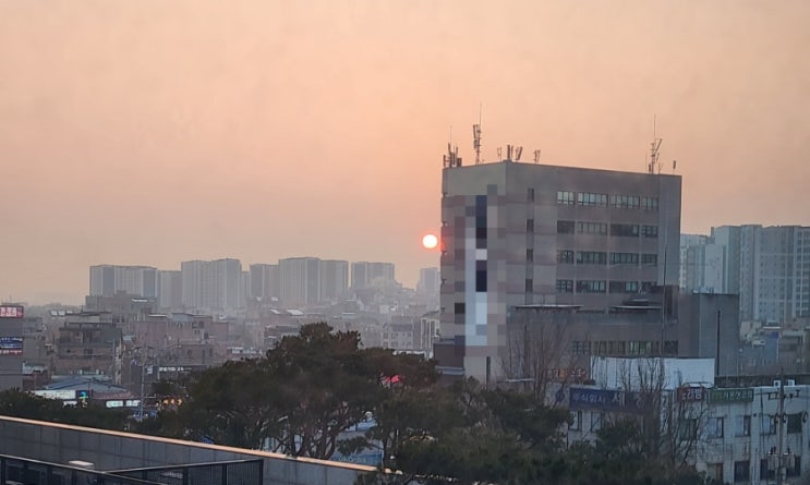  오늘의 낙서 : 퇴고의 즐거움 (이지영)