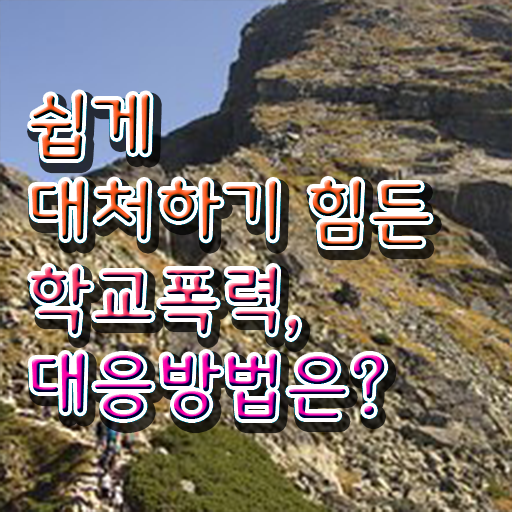  학교폭력 실태 조사 해결방안 제가 알려드릴게요 !!!