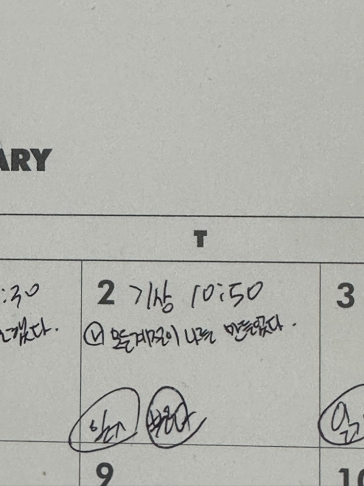  보너스, 마늘 다의 독서법