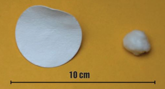  대장균 세포의 면봉 검사 I 바이오의약품 세척 유효성 검사 ; TOC Application / Swab test of E.Coli cells