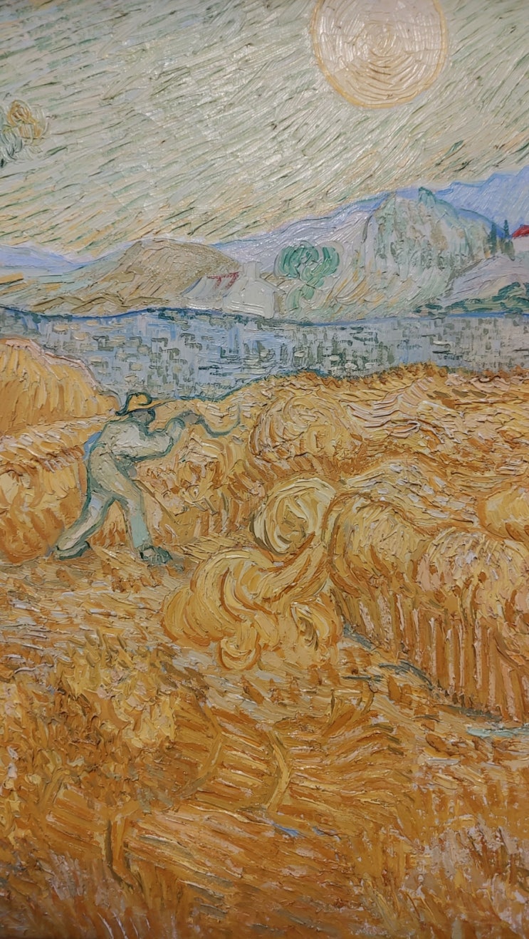  에센 Museum Folkwang