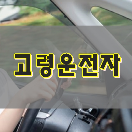  고령 운전자 면허 반납 지자체마다 지원 달라