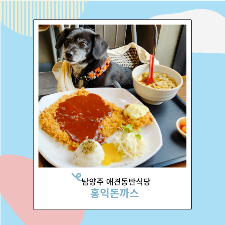 남양주 애견동반식당 홍익돈까스 화도점 실내 강아지 가능 남양주 애견동반식당 홍익돈까스 화도점 실내 강아지 가능