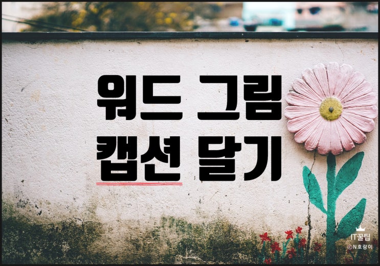 워드 그림 캡션 이렇게 활용하면 좋습니다