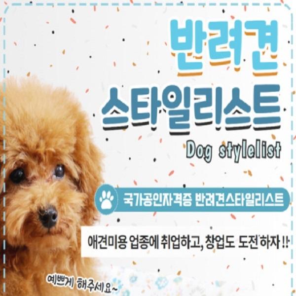  국가공인자격증 반려견 스타일리스트