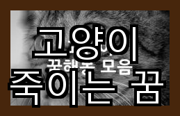 고양이 죽이는 꿈 해몽 의미와 상징