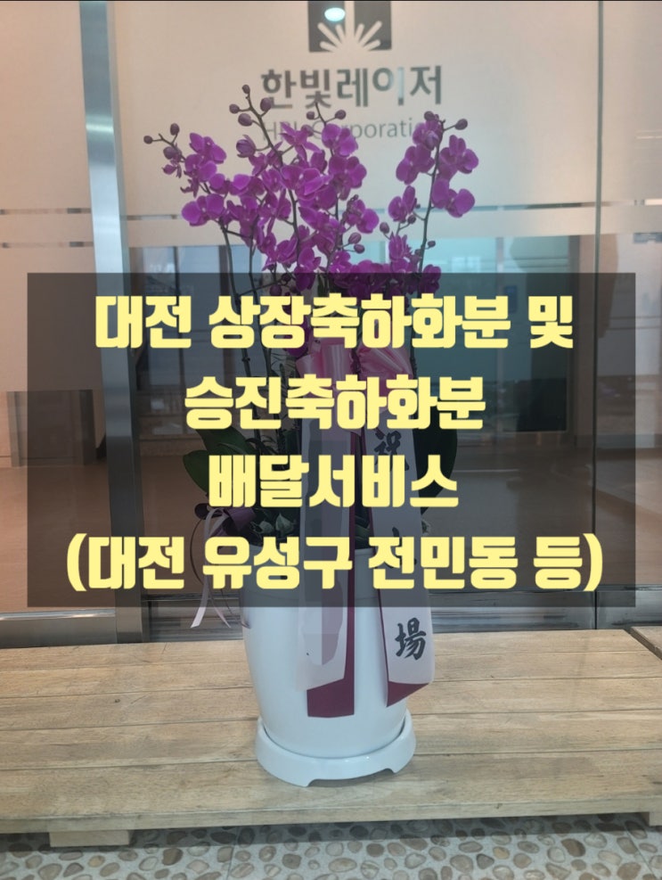 대전 상장축하화분 및 승진축하화분 배달했습니다(유성구 전민동 등)