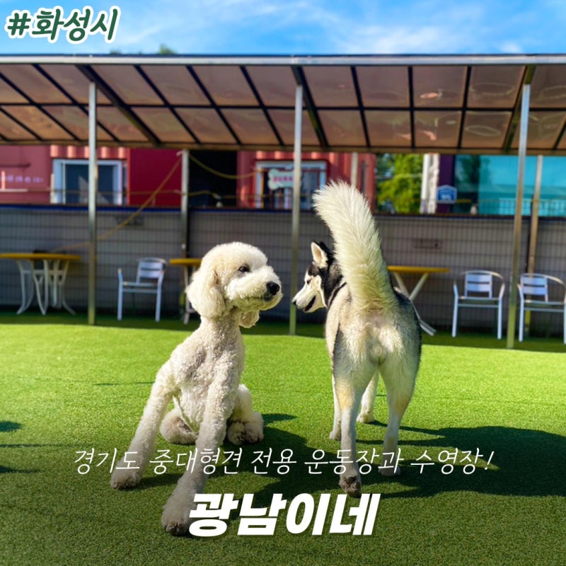 사진 5