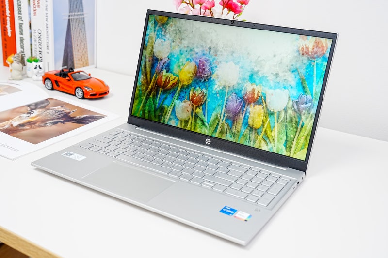 HP 15 합리적인 가격 쥐는 멈춤 노트북 리뷰입니다.