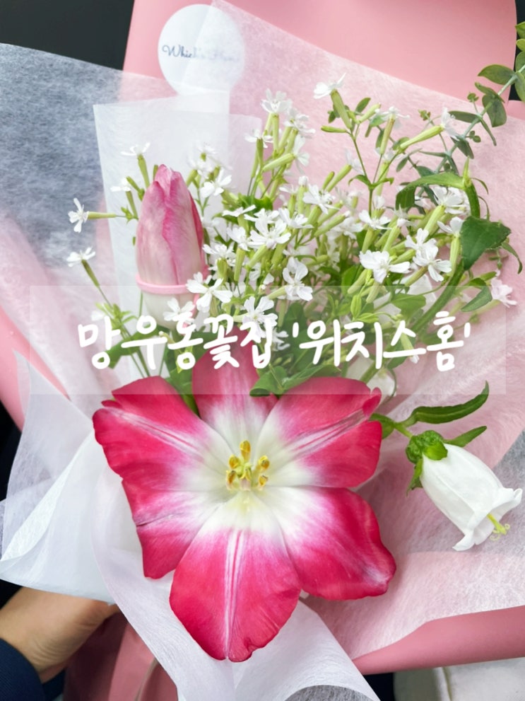 [망우동꽃집] 다양한 꽃이 있는 위치스홈!  졸업식꽃다발 추천