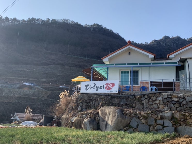  남해 다랭이맛집 멸치 회무침 술안주 포장
