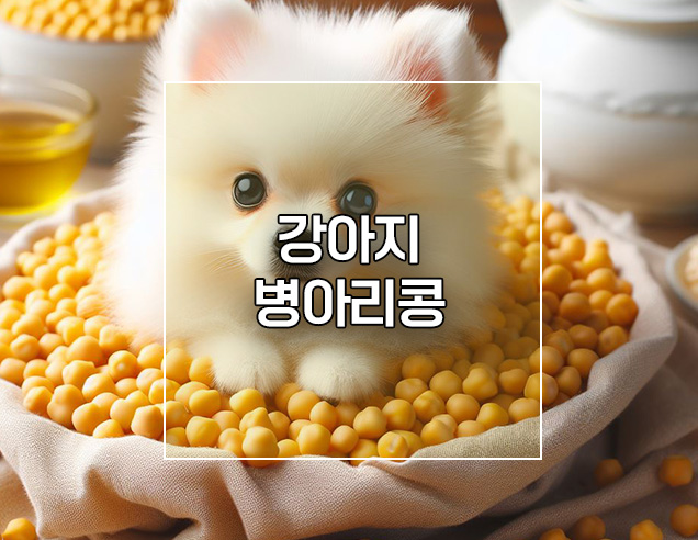  강아지 병아리콩 먹어도 되나요? 부작용 주의할점 냄비 삶는법