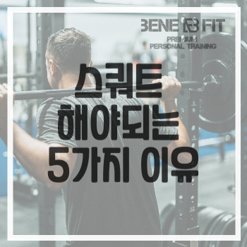 고촌 헬스 운동 시작은 스쿼트 부터