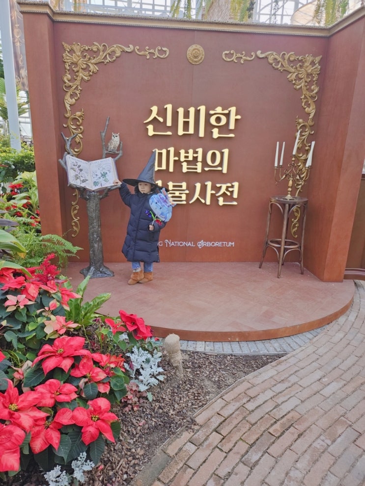  아이들과 함께 즐기는 방학: 국립세종 수목원