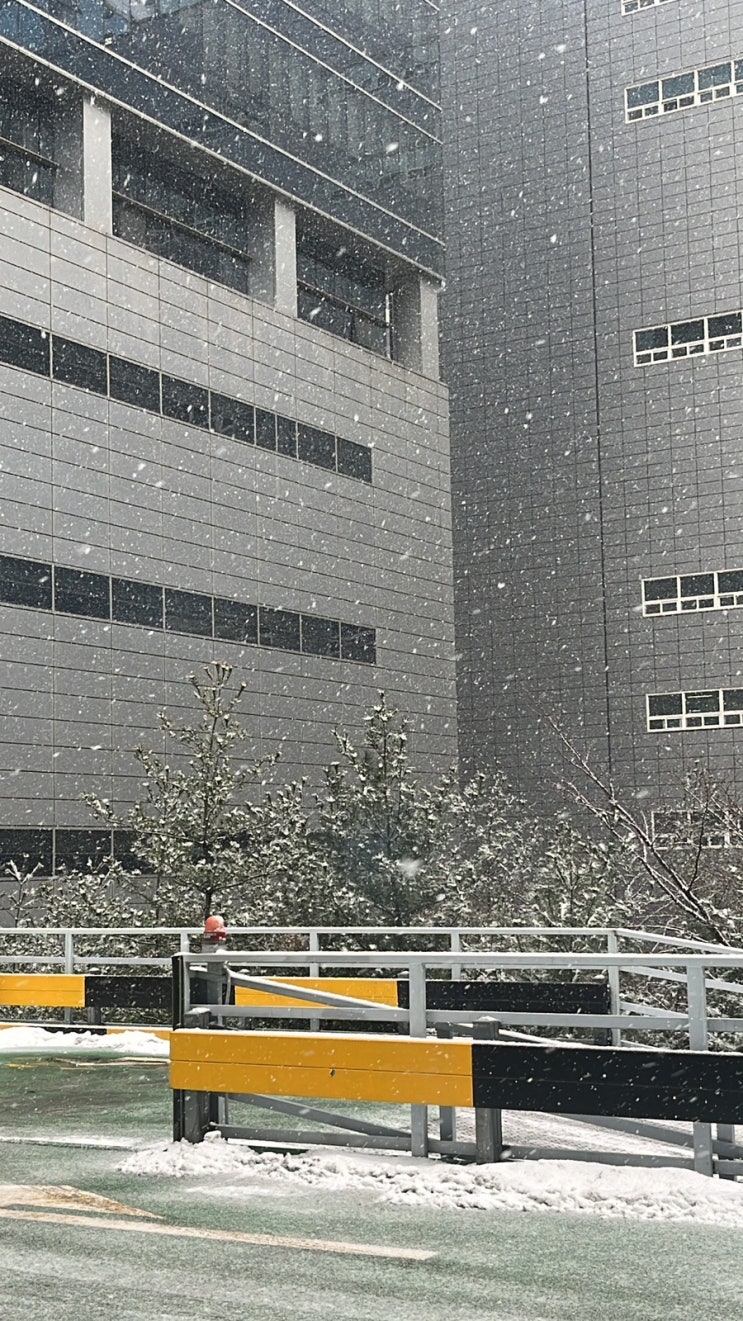  별거인 일기