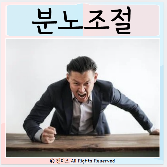  분노조절장애 원인 증상 복수감정 기분변화 치료방법