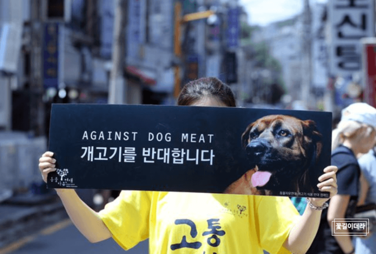  "개식용금지법" 외신들의 더 큰 환호