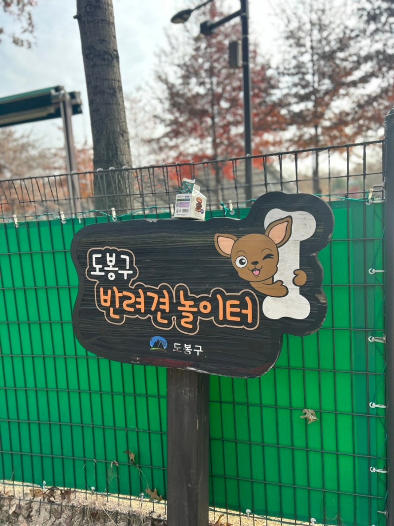 사진 2