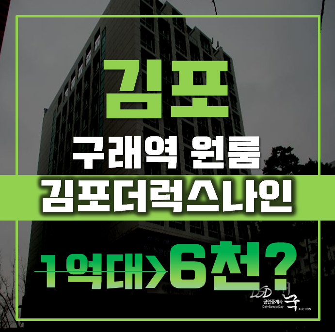 김포경매 구래동 김포더럭스나인 오피스텔 6평 6천대 김포경매 구래동 김포더럭스나인 오피스텔 6평 6천대