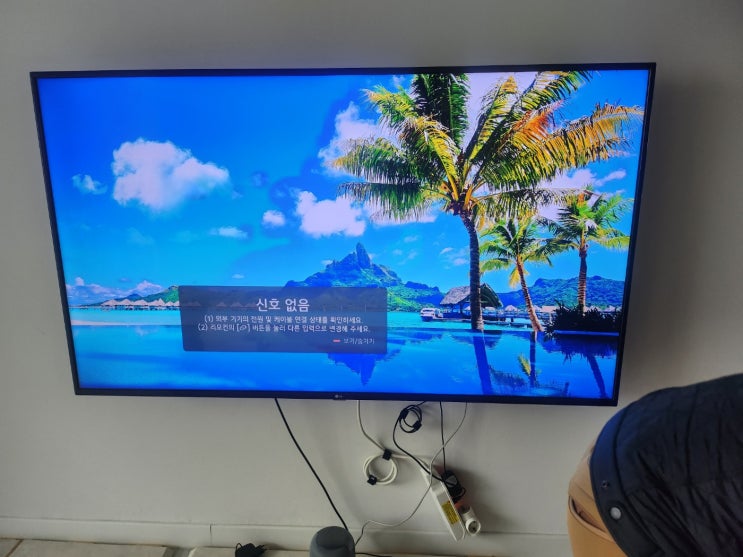  LG TV 65인치 해외 직구 티비 패널 교체  출장 수리