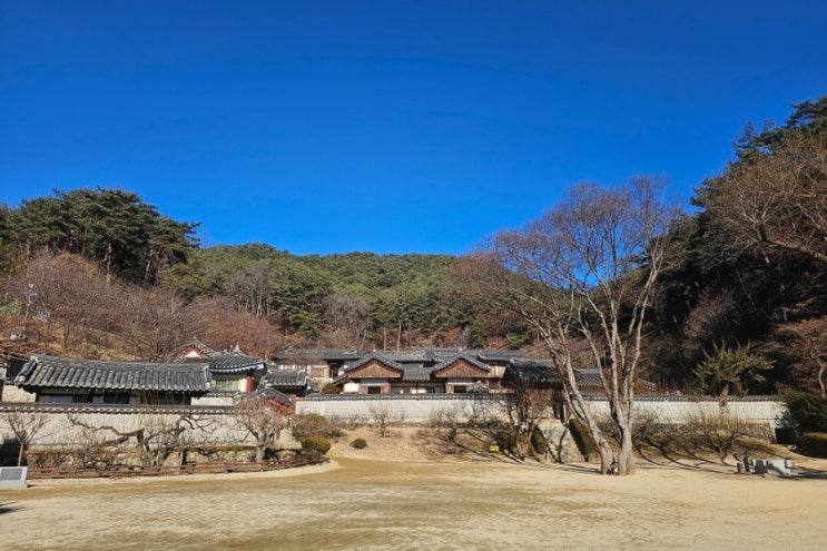  안동 도산서원 봉정사 병산서원 월용교 애견펜션 도그락 애견동반식당 안동집 애견동반 여행