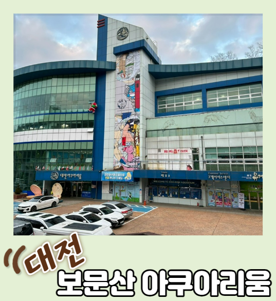  [대전 실내 가볼만한곳]15개월 아기와 함께 간 대전 보문산 아쿠아리움(대전 엑스포 아쿠아리움과 비교, 휠체어 및 유모차 대여, 수유실)