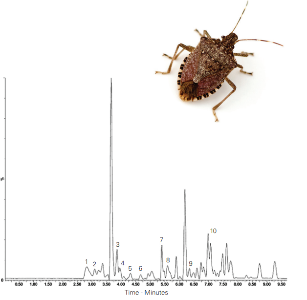  Application : Amino Acid Profile of Edible Stink Bugs by LC-MS / 노린재 - 아미노산 LCMS 분석 / ACE-121-2546