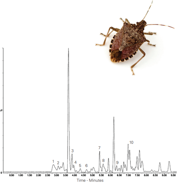 Application : Amino Acid Profile of Edible Stink Bugs by LC-MS / 노린재 - 아미노산 LCMS 분석 / ACE-121-2546