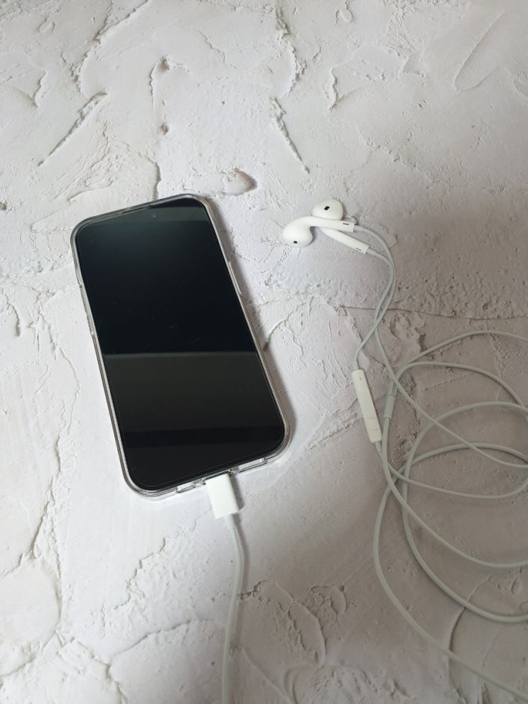 애플 이어팟 c타입 줄이어폰 구매후기