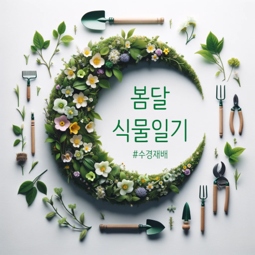  챗GPT로 식물리스 배너 만들기