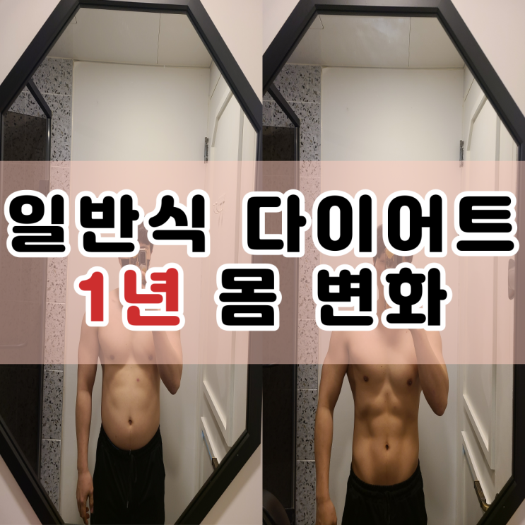  일반식 다이어트 1년 몸 변화 : 눈바디기록