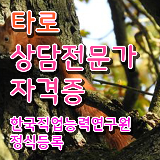  타로상담전문가 자격증 1급 무료수강 알려드립니다 .