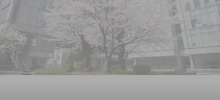  [이화여대 수리논술] 2024학년도 이화여자대학교 자연계열 I 모의논술 기출문제 해설