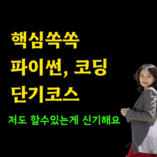  완벽한 핵심 세종 파이썬 코딩 과외 조치원 초등 성인 기초 맞춤식 초보 단기코스