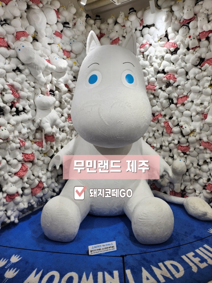  돼지코떼GO_무민랜드제주_제주자유여행_무민랜드저렴하게가는법_제주실내여행장소_제주가족여행코스_제주아이랑가볼만한장소