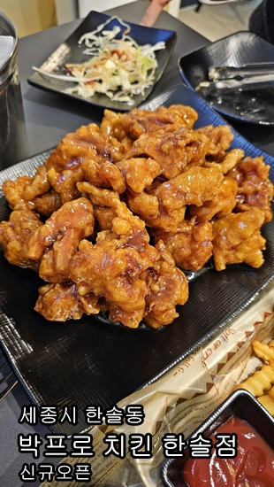 "세종시 한솔동의 새로운 맛집, 박프로치킨" 신규오픈 내돈내산