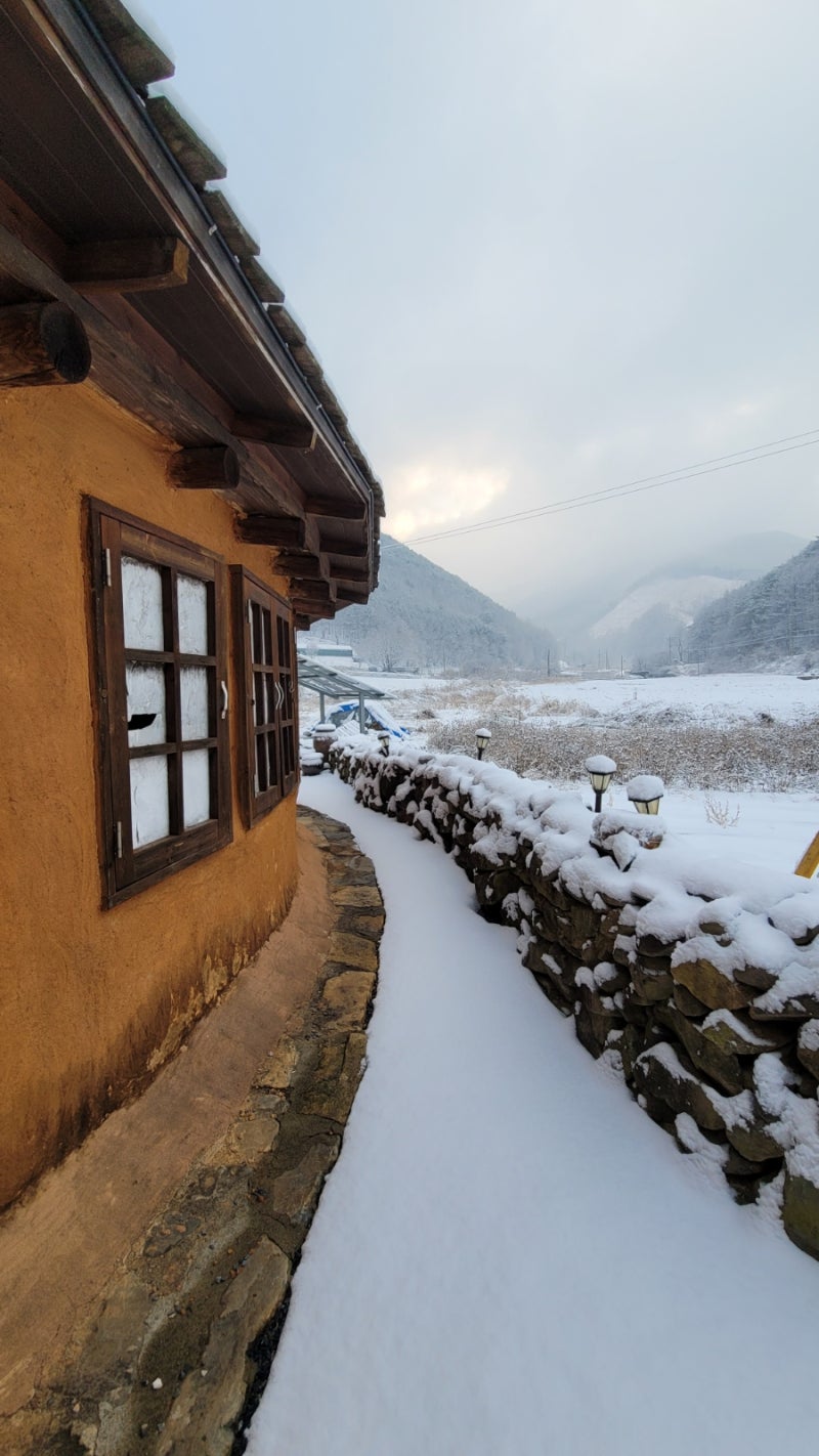 카라칼 - 오늘의AI위키, AI가 만드는 백과사전, image size:800x1422