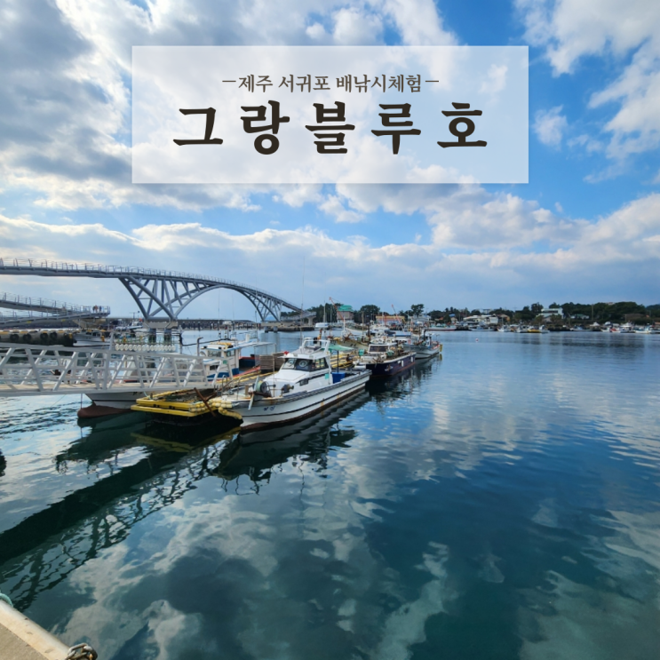  제주도 서귀포 배낚시 개꿀잼 겨울 선상낚시체험 그랑블루호