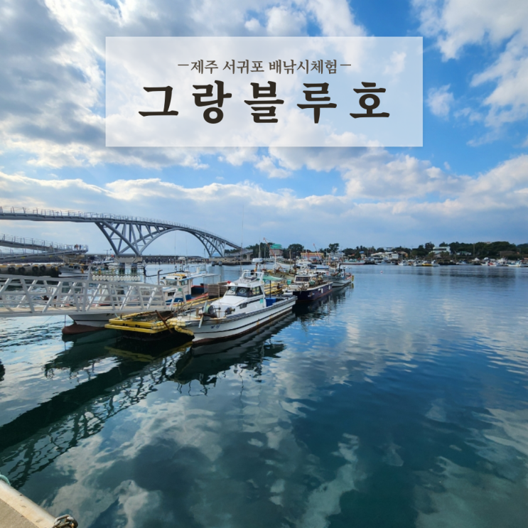 제주도 서귀포 배낚시 개꿀잼 겨울 선상낚시체험 그랑블루호