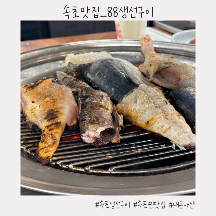  속초 맛집 :: 내돈내산 재방문 후기와 주차/웨이팅 정보 [88생선구이]