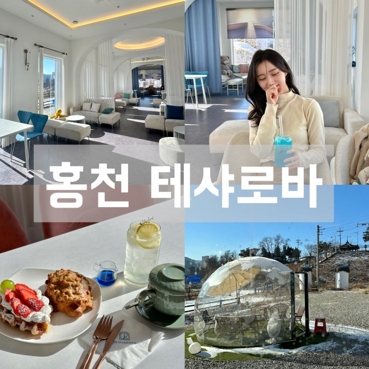  드라이브하기 좋은 홍천 대형카페 테샤로바 - 애견동반 가능, 메뉴, 가격, 영업시간